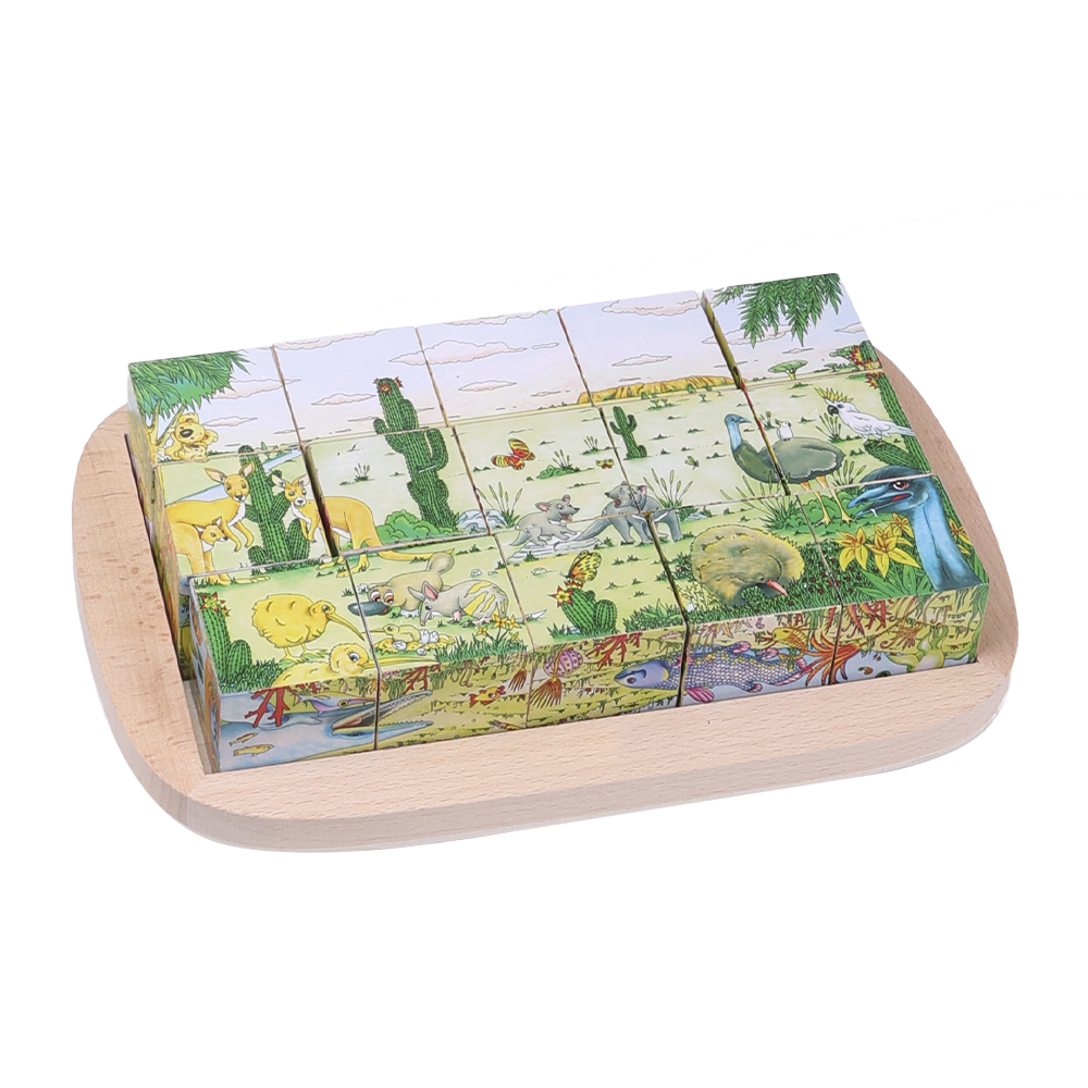 Wooden 6-Sided Logic Puzzle