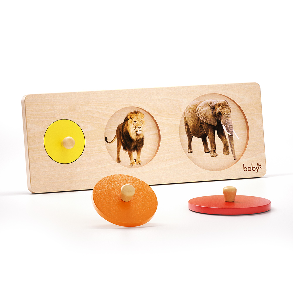 Size Matching Puzzle